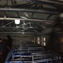 장수양돈 이미지