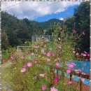 미르피아 펜션 | 밀양가족펜션 마음의 쉼표를 찍다, 밀양 미르피아 펜션 후기