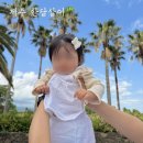 주)푸른정식품 | [돌아기랑 제주 한달살이] 14일차 : 쇠소깍 / 외돌개 / 대포주상절리