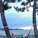 쉼표고성 이미지