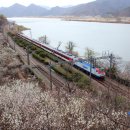 양산시원동면보건지소 이미지