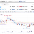 BM태양광발전소 이미지