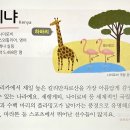 2024.2.18.일 (어린이영어도서관) 영어동화로떠나는세계여행(Kenya 케냐)+버디리딩(Oxford Reading Tree 외) 이미지