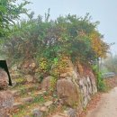 달밤한옥펜션 이미지