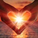 귀족제화 이미지