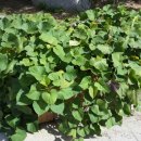 대구남부초등학교 이미지