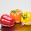 파프리카안경 이미지