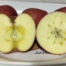 월곡농장 이미지