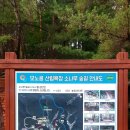 모노골샘터 이미지