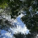 비석마을회 이미지