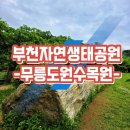 자연생태공원 자연생태박물관 | [부천자연생태공원] 무릉도원수목원+자연생태박물관 후기｜돌아기 나들이 완전 추천!