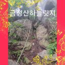 ❤️금정산하늘릿지산행24.7.8일 이미지