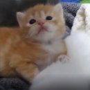 이미화뷔페 | April 2023, 스크롤압박지송