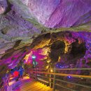 나비야놀자 이미지