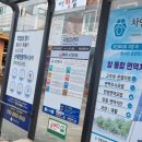 국립암센터 앞 정류장 이미지