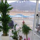 까까먹개 이미지