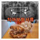 블루덴치과의원 이미지