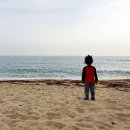 바다와 솔향기 이미지