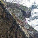 아라메길 (천년미소길) 이미지