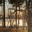 네버엔딩 | 잠실롯데타워마르지엘라퍼퓸 메종마르지엘라 네버엔딩썸머 , 업 앳 던 향수 후기 | 여름향수 추천