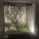 하늘맑은집펜션 | 여유로운 고립을 경험할 수 있는 특별한 공간 경주옥 펜션 후기