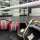 한샘프로복싱체육관 이미지