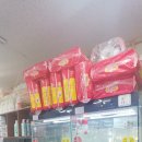 쌍둥이네 애견 이미지