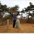 진양트리 이미지