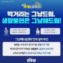 해드림1 머니투데이
