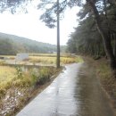 포항시북구15 이미지