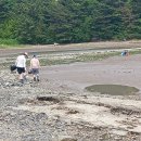 다맥어촌체험휴양마을 티스토리