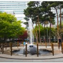 2.28기념 중앙공원 이미지