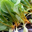 지암농장 이미지