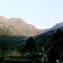 서부관광주유소 이미지