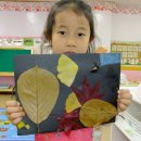 무지개나라유치원 이미지