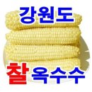 우리네농산 쇼핑하우