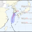 하라고 12호 쿠키뉴스