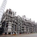 LG화학대산노동조합 | 구조조정 석화 ‘고용 안전망’ 공백···인력·노사 ‘리스크’ 부상