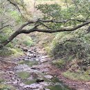 장안산 계곡2(the Jangan Mountain Valley2) 이미지
