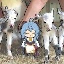 양지PC방 이미지