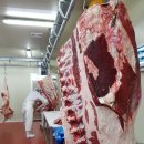 ㈜씨앤엠 이미지