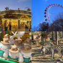 월드여행사 | 겨울 크리스마스 당일 용인 에버랜드 후기 전주 출발 여행사 패키지 셔틀버스