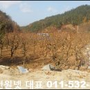군위군산성면보건지소 | 산성면 농지 매매 군위군 땅 매물로 귀농귀촌용 토지 1579평