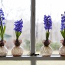 행운미용실 이미지