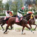 와마코리아 이미지