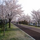 삼락초등학교 이미지