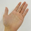 수포차 - 광진구 능동로36길 55 | 수포차