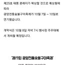 가수 정혜주님 광양 숯불구이축제 개,폐막식 초청공연 (10월 5일, 8일) 이미지