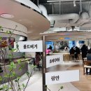 초이푸드