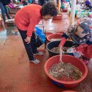 진도읍조금시장 이미지